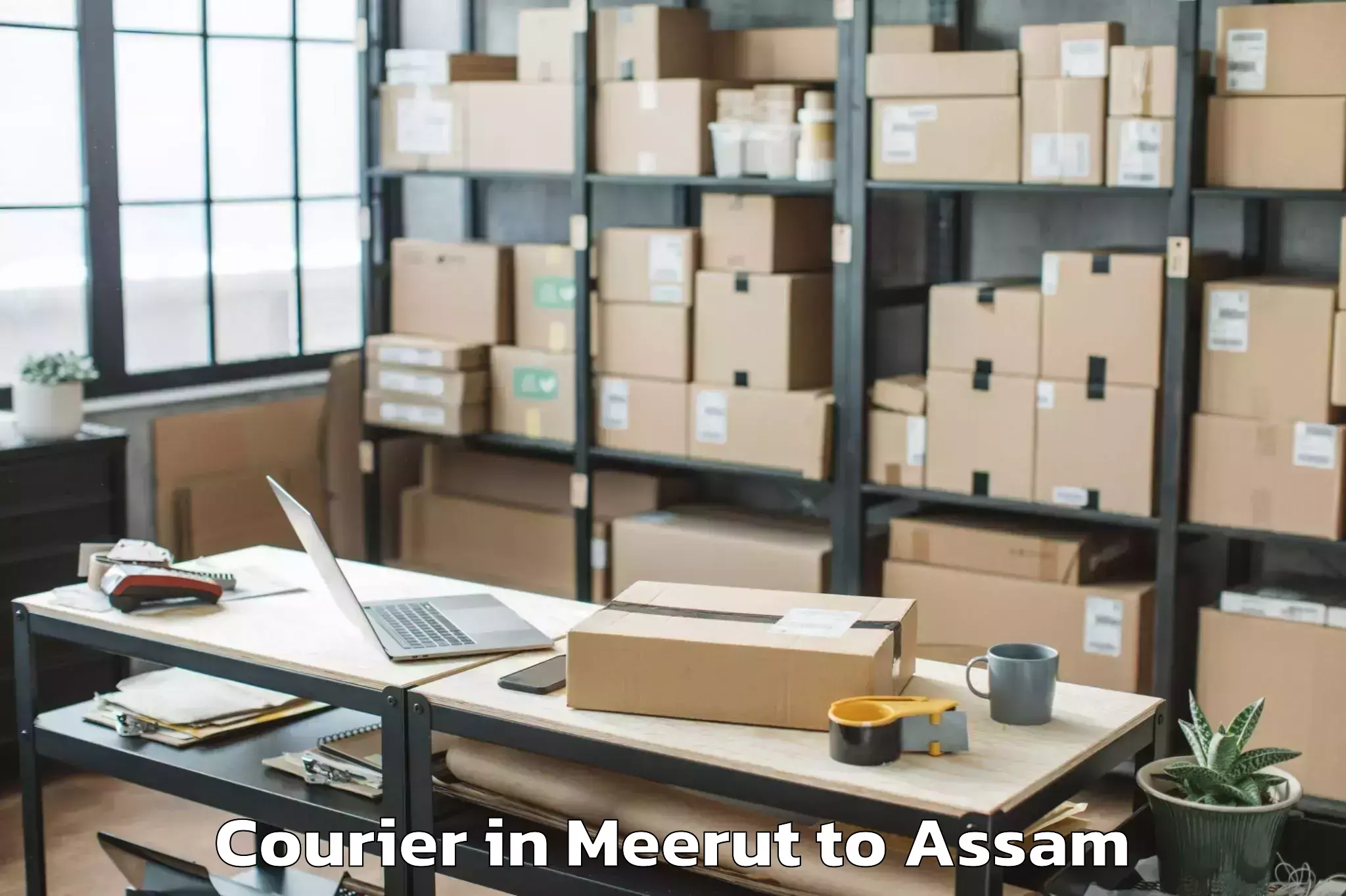 Trusted Meerut to Bokolia Courier